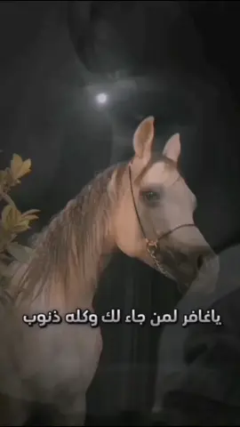 اللهم ارزقنا مغفره بلا عذاب وجنه بلاحساب ودعاء مستجاب.. #explore #foryou #fy #اكسبلور 