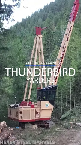 The Thunderbird Swing Yarders (Forestry equipment designed to pull logs thousands of feet away) #swingyarder #forestryequipment #machine #pacificnorthwest #engineering #logging