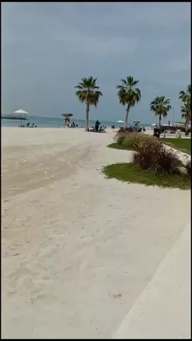 Al Hudayriat Beach ⛱️ 🏖️ 🪂 Abu Dhabi UAE 🇦🇪🌹