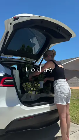 First plant run in my new tesla 🌼 I am so excited to have such a good size trunk, that I can fill up with dogs and flowers, of course. #tesla #PlantTok #plants #gardening #floridalife 