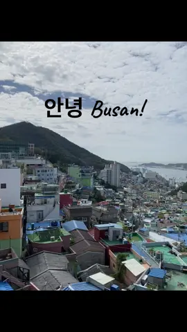 💙🇰🇷 #korea #koreatravel #tripkorea #koreatrip #koreatiktok #seoul #busan #explorebusan #exploreseoul #explorekorea #fyp 