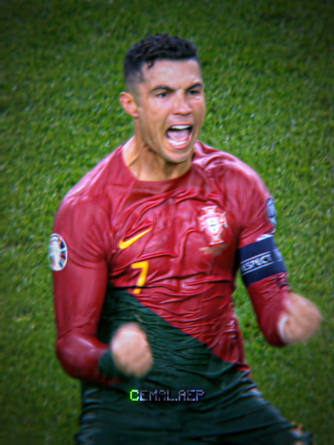 viva portugal  #cristiano #cemalaxp  #ronaldo  #goat  #portugal  #passion  #fyp  #viral