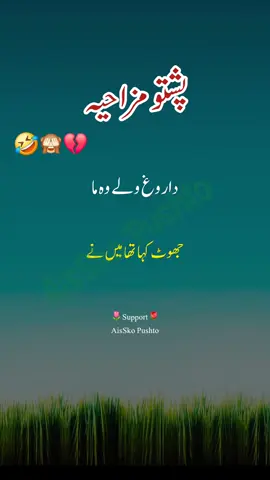 pashto funny video | ta masara meena kawe ka na kawe.#pashto #urdu #shorts #tiktok #viral #foryou #foryourpage #fyp 