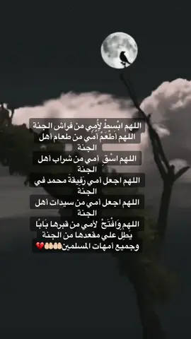 رحم الله أمي وجعلها في سلام ونور ورحمة .. وقبر فسيح الزوايا وجنات عدن .. وظل ظليل وقرة عين بدار السرور وغفر لها . 💔 #امي_رحمها_الله #جنة_الفردوس #أمي #شعور_الفقد #اشتقت_لكي_أمي💔😥 #فقد_الام #فاقده_امي #دعاء_لامي_المتوفية #امي_رحمها_الله😔💔 #افتقدك_جدا_أمي #فقيدتي_امي_افتقدك💔 #الله_يرحمك_ويجعل_مثواك_الجنه_يارب #انالله_وانااليه_راجعون #موتانا #رحمك_الله_يا_فقيد_قلبي😭💔 #💔💔💔💔💔💔 