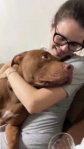 Esse amor é surreal #pitbull #pitbullsoftiktok #pitbulllove #animais #cachorrosfofos #fyp 