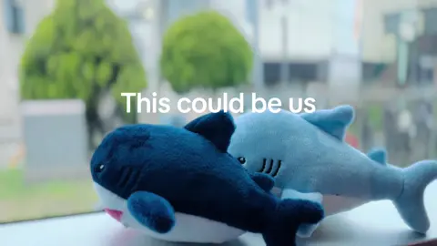 Have you seen two sharks in love? #shark #fyp #fy #cute #silly #Love #fypシ #japan #Relationship #relax #wholesome 