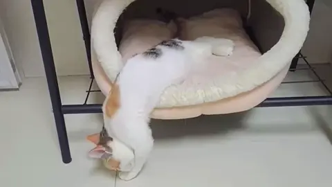 ☺️