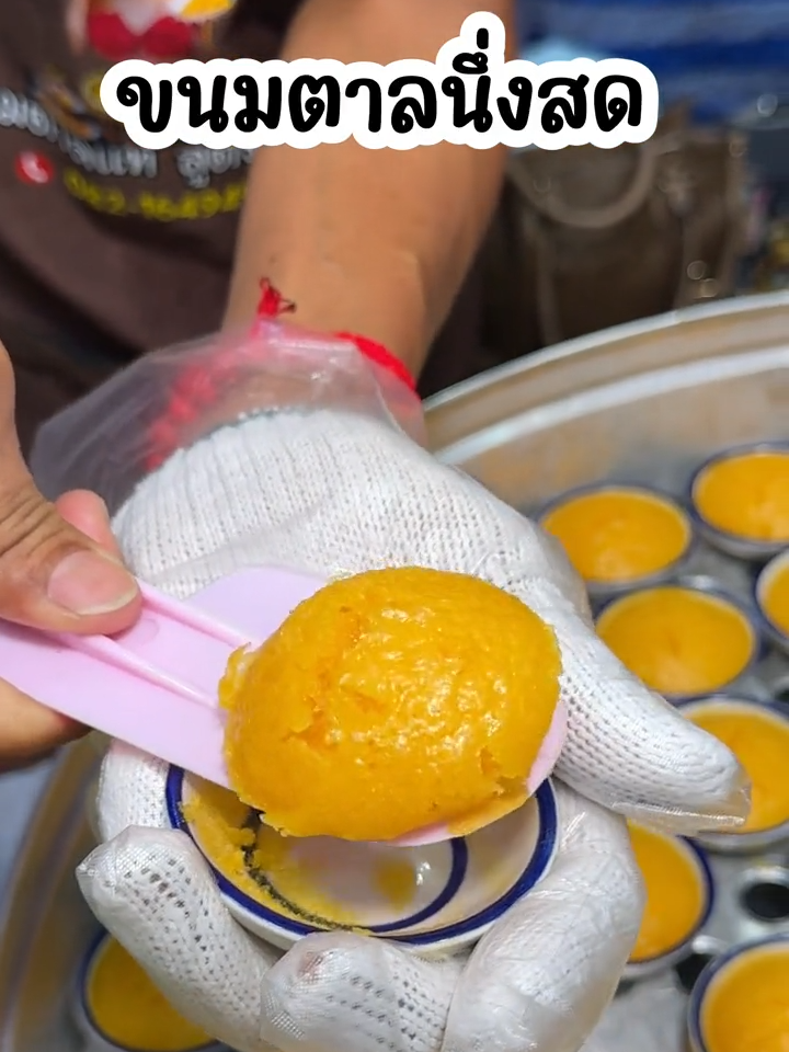 ขนมตาลนึ่งสด เนื้อเด้งนุ่มมาก ร้านขนมตาลแม่จำปี งานวัดไร่ขิง #งานวัดไร่ขิง67 #KPตะลอนแหลก #แพรพากิน #Tiktokพากิน #นครปฐม #อร่อยบอกต่อ