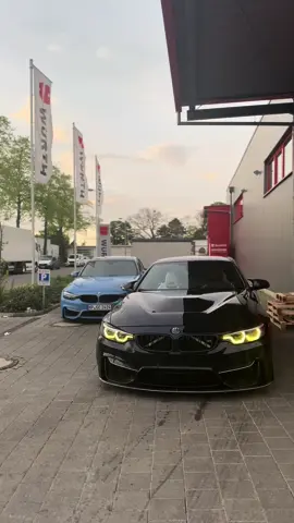#bmw #m4 #f83 #mannheim @Cano24 