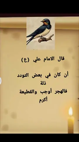 #عبارات_جميلة_وقويه😉🖤 #سديم_معاكم_لحياه_افضل 