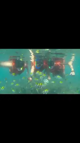 Snorkeling diPangandaran #fypシ #pangandaranbeach #pantaibaratpangandaran #pasirputihpangandaran #foryou #xyzbca #fypage #pesonajawabarat #pangandaran #fyp 