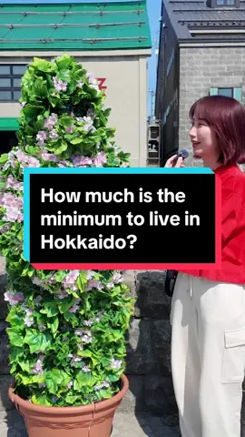 How much is the minimum to live in Hokkaido? #japan #japanese #interview #interviews #japanlife #🇯🇵#japaneseculture 