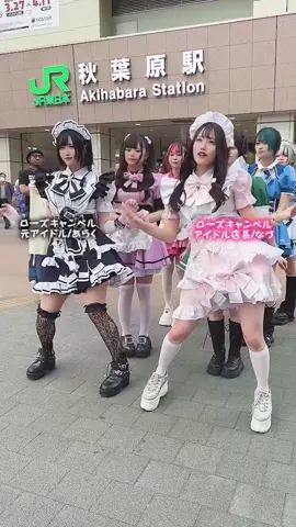 どのメイド服が１番カワイイ？ #踊ってみた#chinadance#コンカフェ嬢#秋葉原メイドカフェ#秋葉原コンカフェ#メイドカフェ#コンカフェ#秋葉原#アルバイト#店長#面接　