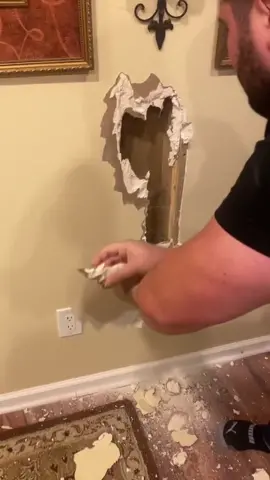 #cat look what i found in my wall (part)(1) #cat #viral #fyp #foryoupage #foryou #tiktoklongs #fyp 