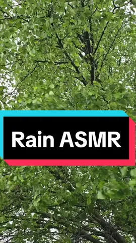 RAIN ASMR 🌧  Grateful for the rain! 💧 #rain #rainasmr #asmr #asmrsounds #soundup #natureasmr #whitenoise #calmingsounds #calming #calmingvideos #rainydays 