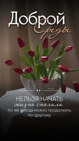 #среда #новыйдень #сторис #утросреды #доброеутро #🌷 