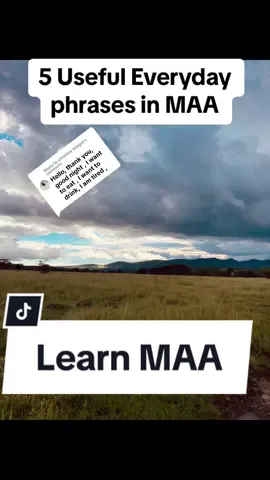Replying to @christine lebigot Useful everday phrases in #maa #learnmaa #learnmaasai #learnlanguages #maasai #fyp #kenya #kenyantiktok #tanzaniatiktok #english #language #LearnOnTikTok 