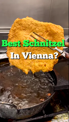 Best Schnitzel in Vienna? #schnitzel #meat #vienna #food #figlmüller #review 