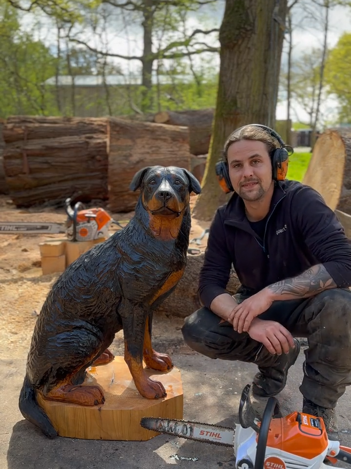 The Sweetest Rottweiler 🥹❤️  #dog #rottweiler #art #sculpture