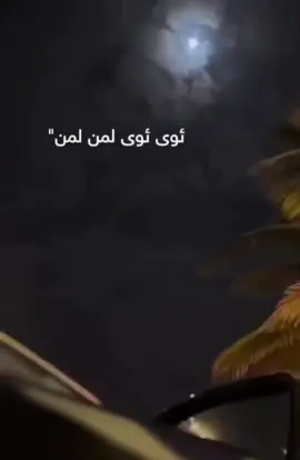 Hoy hoy li min  Xerîɓê li min li min Xerîbê  #moon #viral #semicenk #dark #fyp #K #1 #