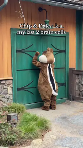 just a couple of nuts 🥜 #disneyland #disneycaliforniaadventure #californiaadventure #chipanddale #disneycharacters #disneymeme #disneypov #disneyparks 