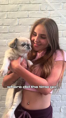 i can smell the nostalgia listening to this song 🎵🐶