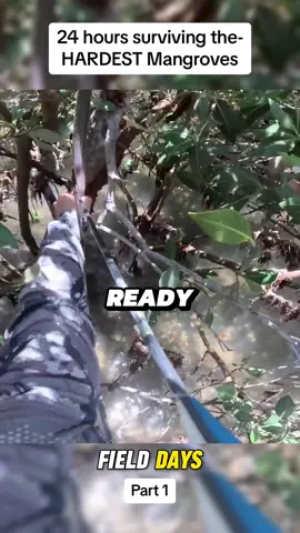24 hours surviving the hardest Mangroves - Solo Camping #camping #survival #mangrove #catchandcook #Outdoors #fielddays #fishing #fyp 