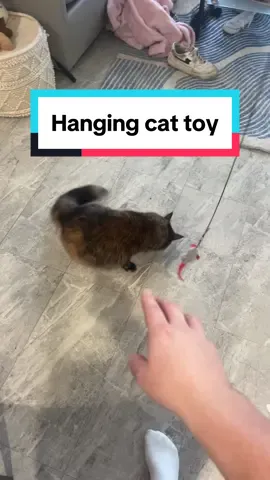 The best cat toy on the market 🐱 she loves this thing 🤣 #cattok #cattoys #tiktokshop #sale #catlover 