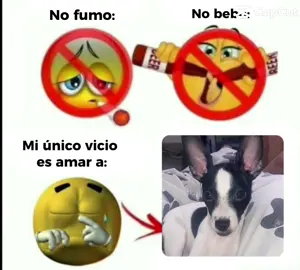#miunicovicio#mascotas#amor 