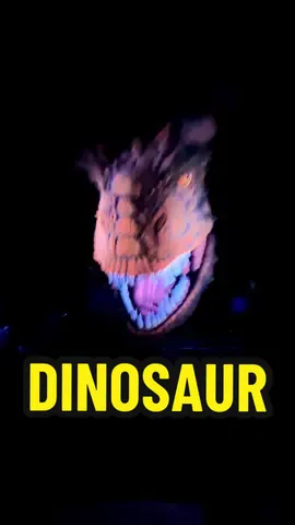 Let’s go get that dino! We will be so sad when dinosaur is gone - such a great ride 🦖🦕 #dinosaur #disneyworld #disney #animalkingdom #letsgogetthatdino #dino #dinoland #dinolandusa #disneyride #ridepov #disneyridepov 