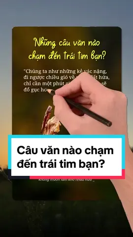 Câu văn nào chạm đến trái tim bạn? Đằng sau cánh cửa nhà là những điều luôn sẵn sàng bao dung đón tôi trở về. Những điều ấy có đáng phải hứng chịu sự bức bối vô lý của tôi? #cauvanchamdentraitimban #sachhay #sachhayexpress #LearnOnTikTok 