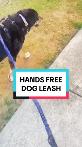 Walking your dog with your hands-totally free is a whole other level of relaxation & enjoyment! -- Maya here is an older gal so she's walking slower but I have also used this on a 13 pound Yorkie as well as a 2-year-old golden retriever with tons of energy and all went smooth and lovely! #dogwalkingessentials #dogwalking #dogsupplies #forthedogs #doglife #doglifestyle #handsfreeleash #dogsarefamily 
