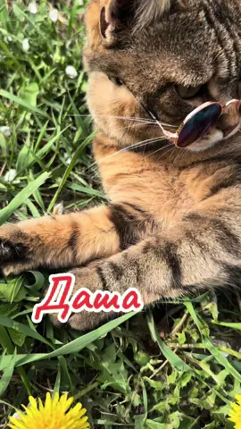 #даша  #дашуля #дарина #дарья #деньангела 