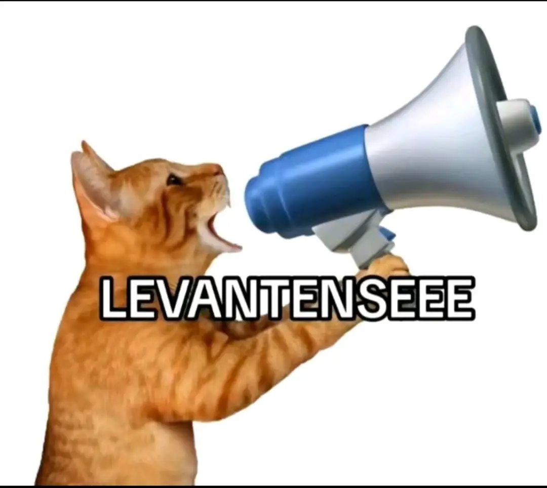 #trending #fypシ #sleep #alarm #levanteseeeeeeeeeeeeeeeeeee 
