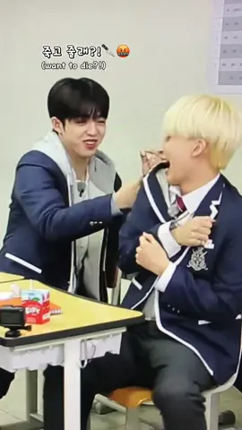 yang satu emosian, yang satu suka menyulut emosi😇🤝 #jeongcheol #jeonghan #seungcheol #goingseventeen #svt #fyp @SEVENTEEN 