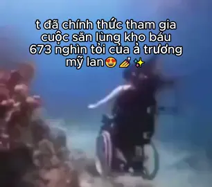 t hy vọng sẽ tìm đc🥰🥰#truongmylan #floptok #floptokvietnam