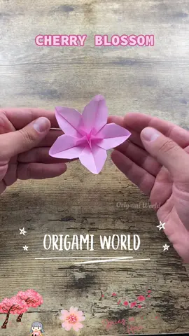 Cherry Blossom Flower Origami Tutorial #cherryblossom #cherryblossomsafterwinter #sakura #DIY #origami #origamiworld #paperflower #origamiflower 