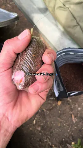 Catch more Carp on PVA Bags 🎣 #fyp #foryou #foryoupage #fishing #fishinglife #fishtok #angler #carpfishing #nayzofishing #viral 