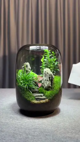 Do you want one?#foryou #foryoupage #nature #DIY #plants 