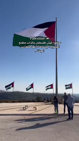 الجنّة فلسطين🇵🇸. #فلسطين #fyp #viral #explore #فلسطين🇵🇸 #foryou 