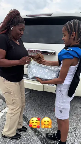 Cash is with his forever family 🥰❤️🤗  Boy is he spoiled lol 🤣 Hes the cutest tiny little thing 😍 Hes got so much personality!!  #fluffypuppiesofga #toypoodle #Love #puppies #delivery #fyp #fypシ #charlotte #atlanta #pittsburgh #philadelphia #montgomery #houston 