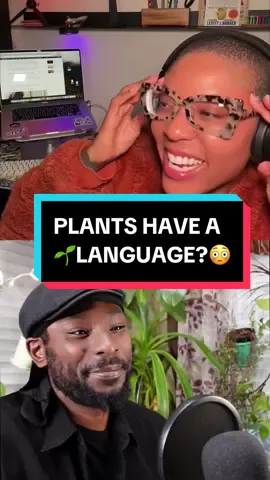 Scientists have recently discovered that plants are not silent 😯 🤯🌱 volume on what  plants sound like 🔊🔊🔊 Would you want to communicate with your plants?  I was just speaking with @Garden Marcus, plant aficionado and author of “How To Grow” about the experiment. They put plants into a soundproof box along with an ultrasonic mic, and THIS is what they heard!  Is it a language? Are they communicating with us? ⚠️Scientists say more studies need to be done in order to officially conclude that⚠️  But what do you think? Did it sound like a “plant language” to you? Or is it just me?! 🤔🤔🤔#plantsoftiktok #plantmom #plantdad #gardening #planttiktok 