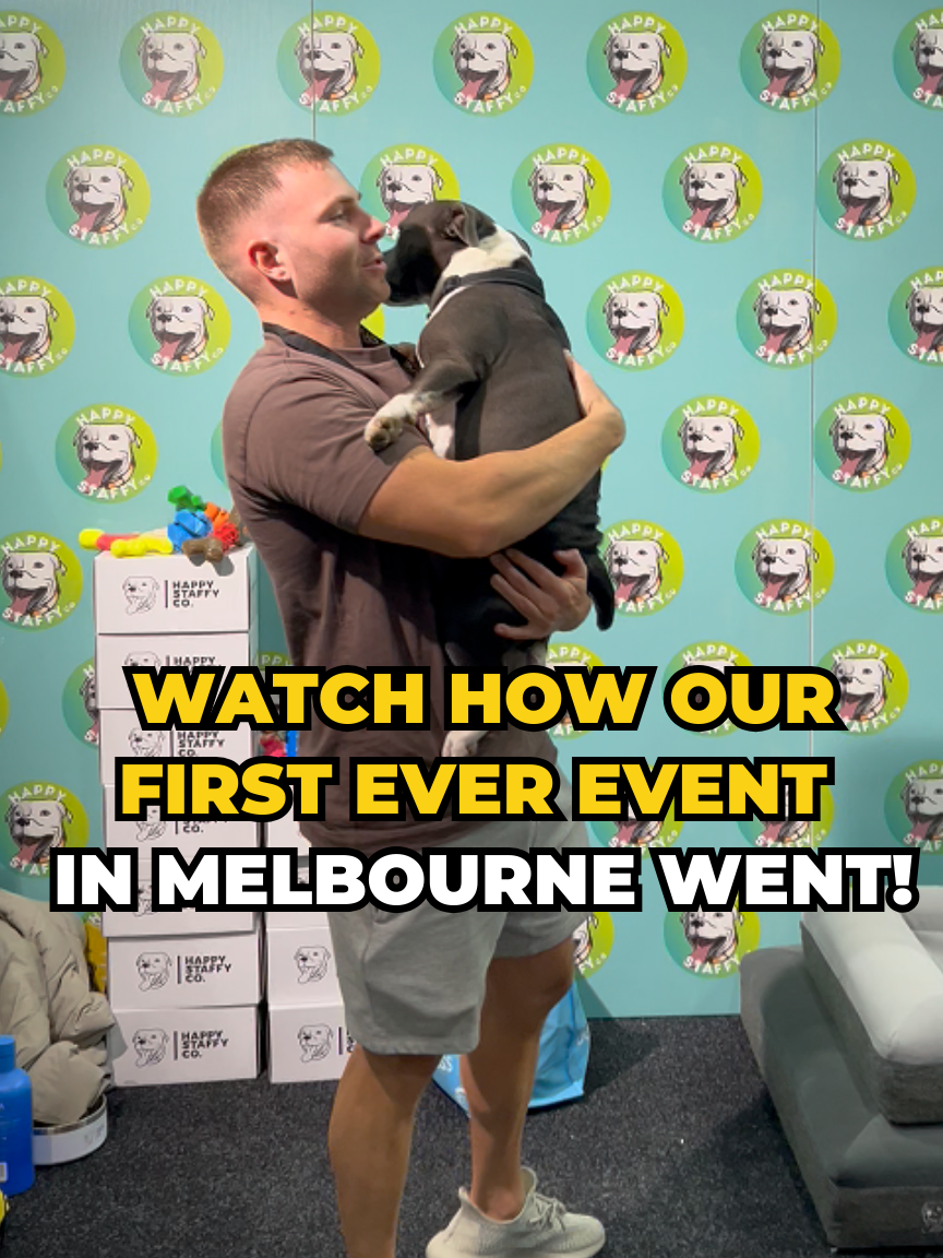 Watch how our first ever event in Melbourne went! 🐶🙌 #australia #expo #Fitness #staffy #dogbrand #staffies #dog #happystaffy