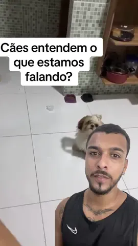 Eles podem associar, de forma positiva ou negativa, sons como campainha, interfone, microondas e até o barulho do seu carro 😅 Siga @crdog.ofc para condicionar seus cães  • • • • • • #cachorro #crdog #caioadestrador #cachorros #comportamentocanino #adestrador #adestra #adestramento #dogs #fy #fyp #foryou #