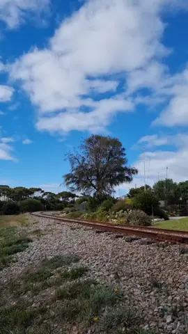 ALCo diesel locomotive 844 makes her way out of Goolwa on the first Cockle Train service of the day 🚂 #trains #railfans #diesel #locomotive #steamranger #heritagerailway #southaustralia 