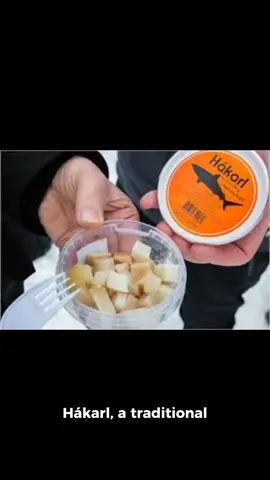 #hakarl 