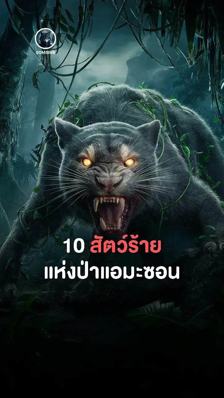 #ป่า #สัตว์โลกน่ารัก #ความรู้รอบตัว #เทรนด์วันนี้ #ฟีดดดシ #ฟีด 