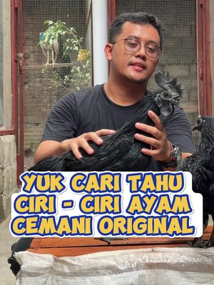 Yuk Cari Tahu Ciri - Ciri Ayam Cemani Original #ayamcemani #ayamhias #hewan #peternakmuda #fyp 