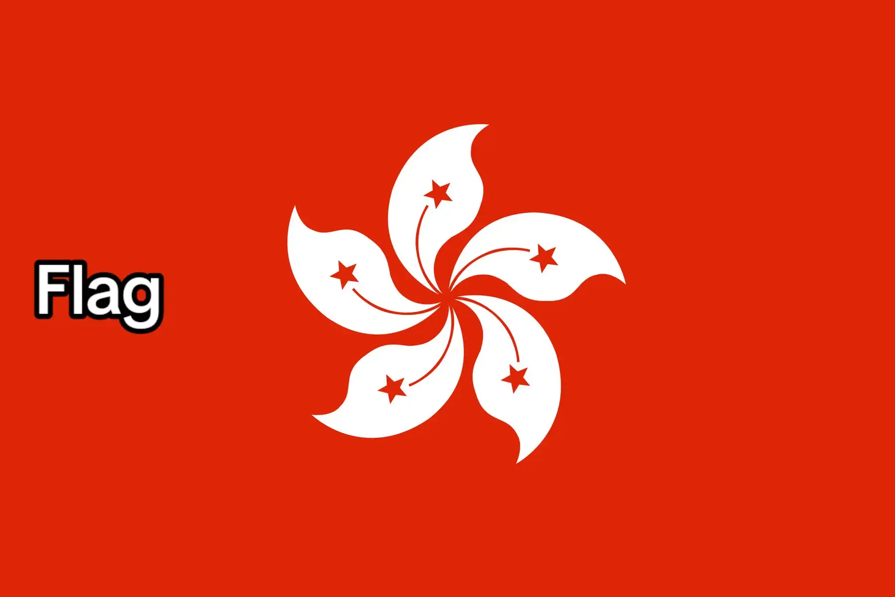 #hongkong #worldwide #geography #world #asia #data #foryou #foryoupage #fyp 