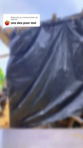 Réponse à @Demon ❤️🤣